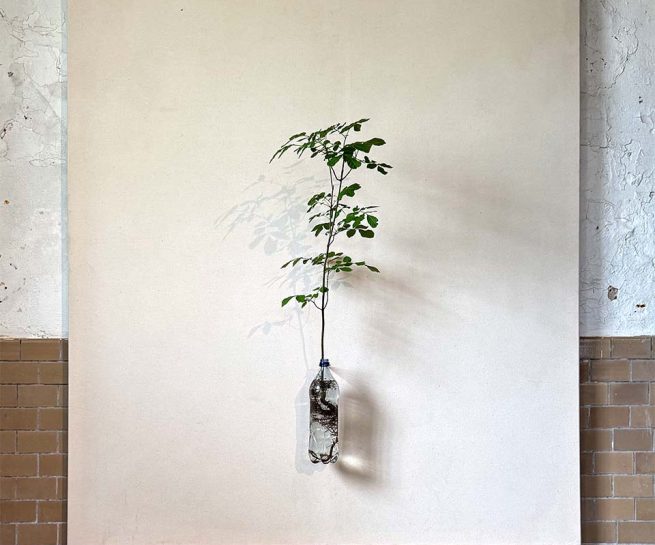 A-Painting-of-A-Tree-Fraxinus-excelsior-2020_2025