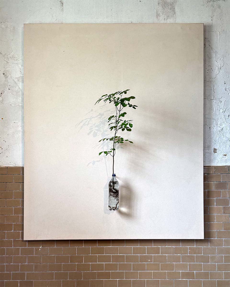A-Painting-of-A-Tree-Fraxinus-excelsior-2020_2025