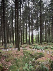 HellströmBjörnIMG_5805