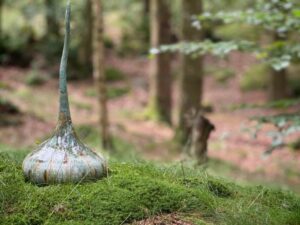 KarlssonTammyIMG_5431