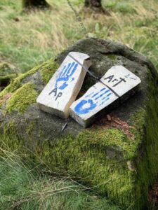 UllbergLiselotteIMG_5798