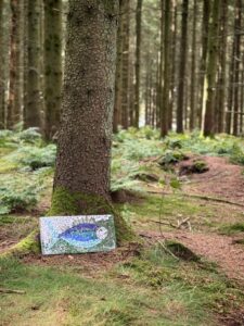 VallströmIlvaIMG_5820